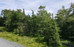 Cedar Drive Lot 149, Cape George, NS B0E 3M0
