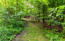 151 Ch. Cooledge, Austin, QC J0B 1B0