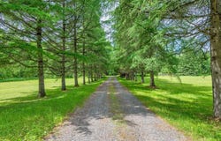 2433 Route des Tulipes, La Conception, QC J0T 1M0