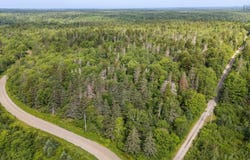 Crosby Road Lot, Lake George, NS B5A 5L1