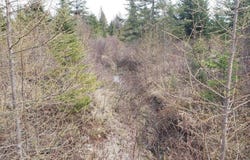 3430 Ch. de l'Aéroport, Thetford Mines, QC G6G 5R7