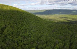 Grant 15819 Marsh Brook Road, Margaree Centre, NS B0E 1Z0