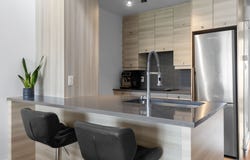 5610 Rue St-Patrick 306, Montréal (Le Sud-Ouest), QC H4E 1B2