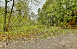312 Rue Westward, Rosemère, QC J7A 1T1
