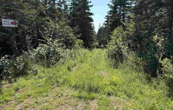 Old Post Road Lot 1, Lake Midway, NS B0V 1A0