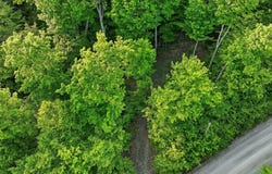 Ch. Dépôt, Orford, QC J1X 6W1