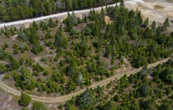 Whitetail Drive Lot 5, Chester Basin, NS B0J 1K0