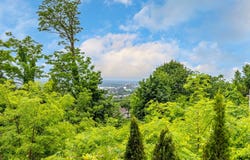 12 Av. Sunnyside, Westmount, QC H3Y 1C1