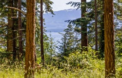 348 Lazo Rd, Comox, BC V9M 3T9