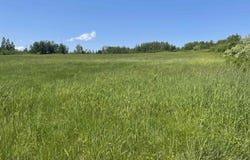 Saltwater Drive Lot 37, Malagash, NS B0K 1E0