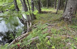 Wentzell Road Lot 1, Baker Settlement, NS B4V 7J4