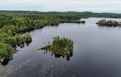 Level Spot Lake, Lake Charlotte, NS B0J 1W0