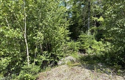 Highway 14 Lot 21, Sherwood, NS B0J 1J0