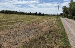 Highway 6 Lot 31, Marshville, NS B0K 1N0