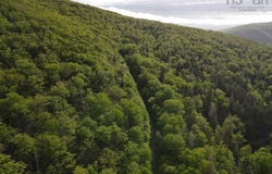 Grant 15819 Marsh Brook Road, Margaree Centre, NS B0E 1Z0