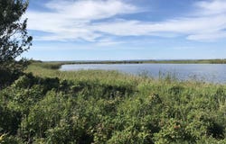 Solomon Lane, Meteghan River, NS B0W 2L0