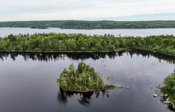 Level Spot Lake, Lake Charlotte, NS B0J 1W0