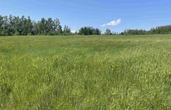 Saltwater Drive Lot 37, Malagash, NS B0K 1E0