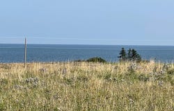 Beach Chair Lane Lot 13, Pugwash, NS B0K 1L0