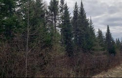 3430 Ch. de l'Aéroport, Thetford Mines, QC G6G 5R7