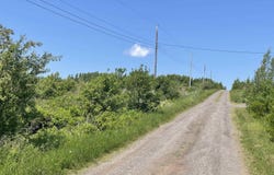 Saltwater Drive Lot 37, Malagash, NS B0K 1E0