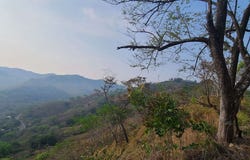 Prestige Finca in Cuesta Grande - 60 Ha / Views, Belen, 50207