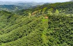 Finca Vista el Mar Maquenco 16 Hectares, Maquenco, 50207