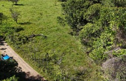 Permaculture Lot 1, Santa Elena, 11902