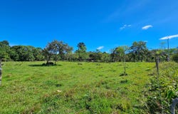 Permaculture Lot 3, Santa Elena, 11902