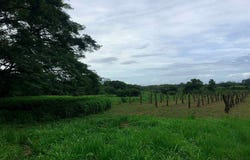 La Reserva Commercial Lot, Playa Camaronal, 50903