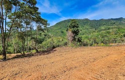 Exceptional Lot  17 Hectare, San Isidro del General, 