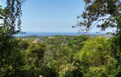 Exceptional 71-Acre Ocean View & Riverfront Development Property in Hatillo , Dominical, Puntarenas, Costa Rica, Dominical, 60602