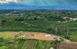 Beautiful Property in Santa Elena, Pérez Zeledón – 1 Hectare with Stunning Views, Santa Elena, 11902