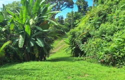 Exceptional Ocean & Mountain View Property in Pinuela Arriba Ojochal, Ojochal, 