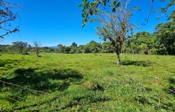 Permaculture Lot 2, Santa Elena, 11902