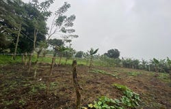 03 Lago de yojoa, CO 21000
