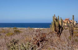 L-13 Rancho Nuevo, Pacific, 