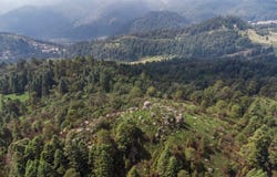 San Francisco Chimalpa, San Francisco Chimalpa, 53650