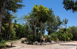 Carretera Tulum, Av. Coba Km 10, Tulum, 77760