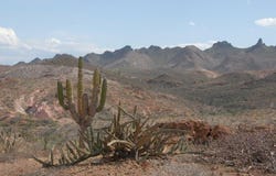 La Paz, 