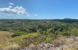 Guayabito, San Carlos, 