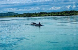 Bocas del Toro, Bocas del Toro, 