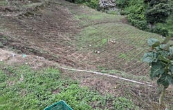 Cerro Punta 1, Cerro Punta, 
