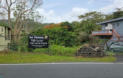 3 816, Nuevo, Bayamón, 00956