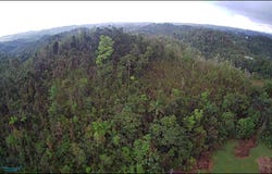 Km 2.2 CARRETERA 625, Esperanza, Arecibo, 00612