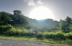 Km 11.01 CARR 100, Pedernales, Cabo Rojo, 00623