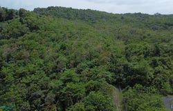 KM 5 CARR 954, Hato Puerco, Canovanas, 00729