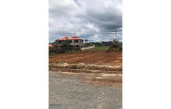 - DELFIN, Aguacate, Aguadilla, 00603