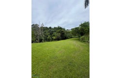 #111 BO LARES, SECTOR PALMAR LLANO, Lares, Lares, 00669