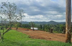 KW 2.1 CARR 4430, Ovejas, Añasco, 00610